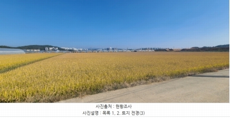 2024타경81899 경기도 파주시 검산동 838 농지 경매 이미지