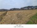 2024타경85013 경기도 파주시 탄현면 갈현리 1835 농지 경매 이미지