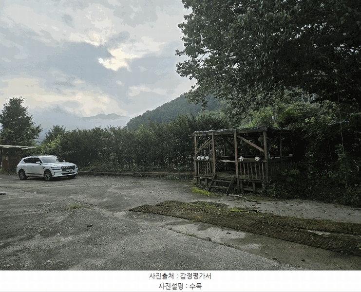 2025타경1678 강원도 홍천군 홍천읍 와동리 448 주택 경매 이미지