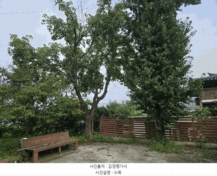 2025타경1678 강원도 홍천군 홍천읍 와동리 448 주택 경매 이미지