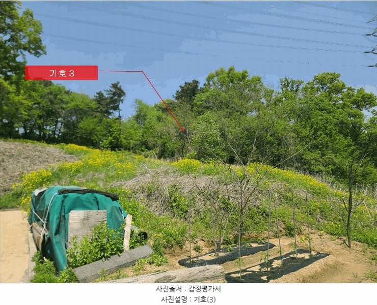 2025타경63063 경기도 파주시 월롱면 덕은리 396-6 임야 경매 이미지
