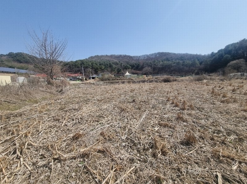 2023타경6945 경기도 파주시 법원읍 법원리 359 농지 경매 이미지