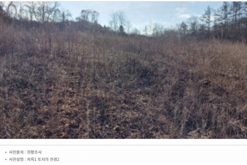 2023타경78490 경기도 파주시 적성면 객현리 산110-3 임야 경매 이미지
