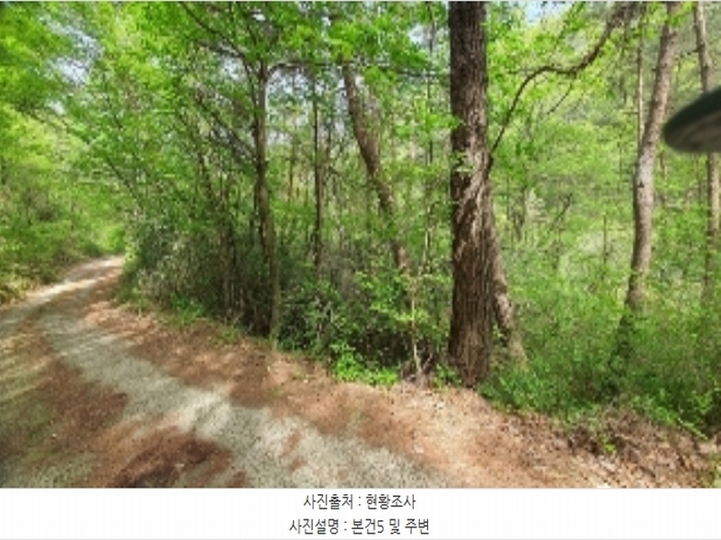 2024타경906 경상남도 창원시 마산합포구 진전면 여양리 산73-3 임야 경매 이미지
