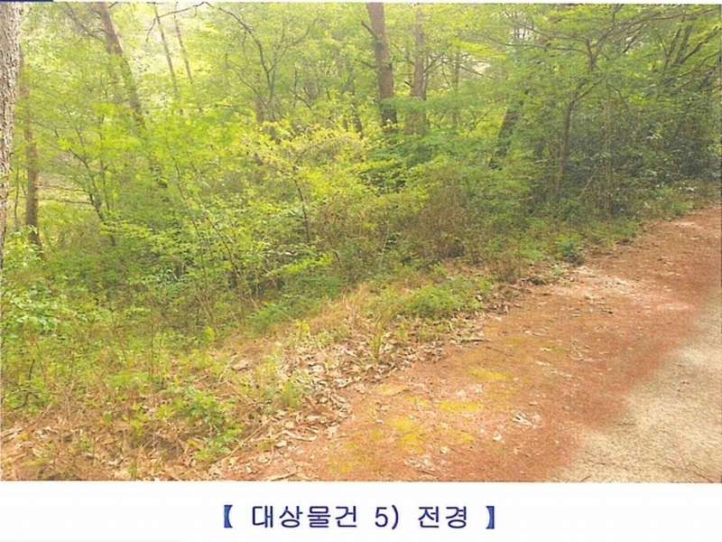 2024타경906 경상남도 창원시 마산합포구 진전면 여양리 산73-3 임야 경매 이미지