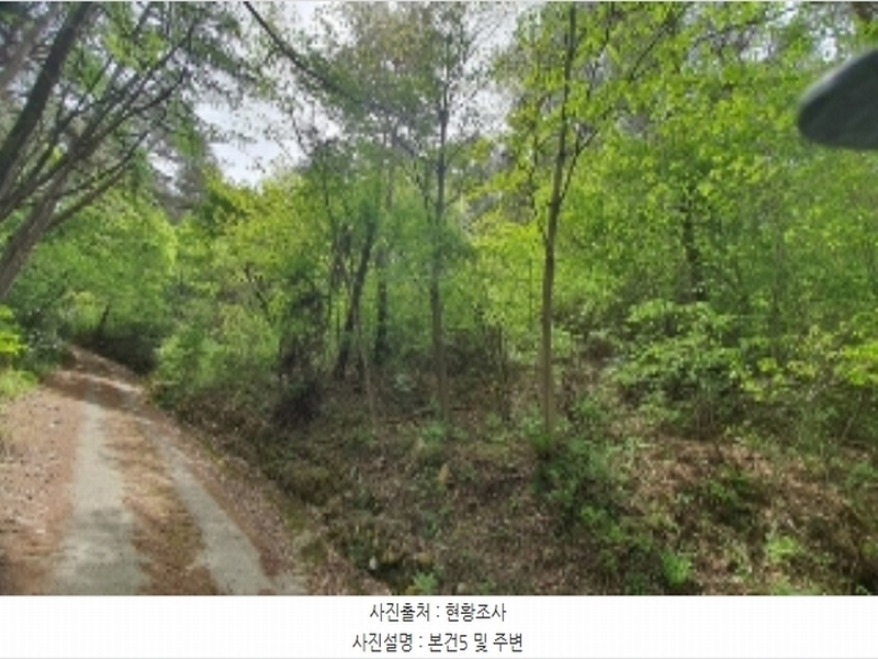 2024타경906 경상남도 창원시 마산합포구 진전면 여양리 산73-3 임야 경매 이미지