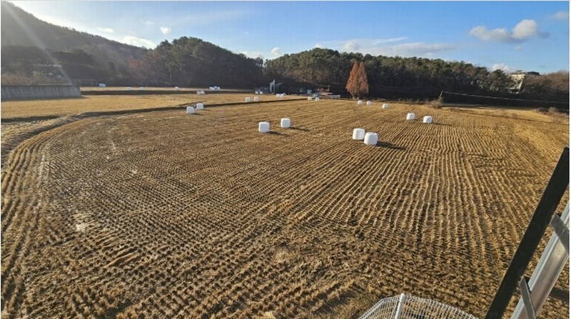 2024타경85150 경기도 파주시 파주읍 봉서리 225-11 농지 경매 이미지