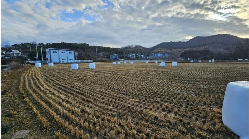 2024타경85150 경기도 파주시 파주읍 봉서리 225-11 농지 경매 이미지