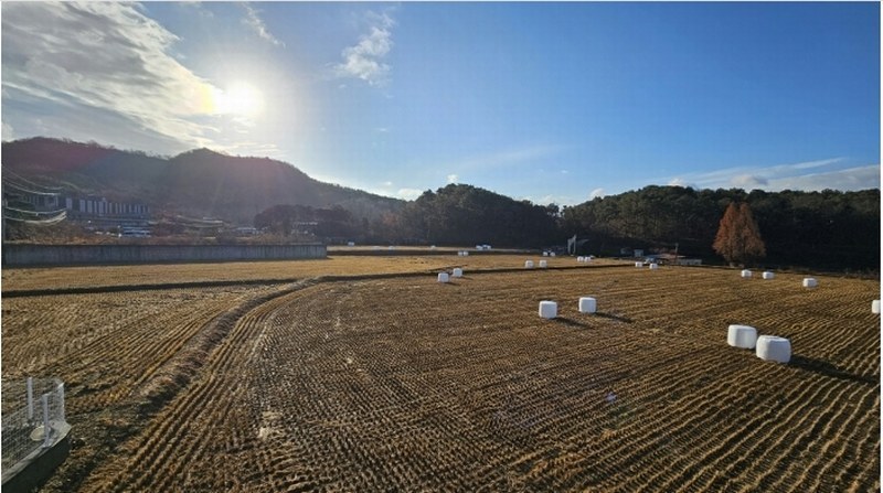 2024타경85150 경기도 파주시 파주읍 봉서리 225-11 농지 경매 이미지