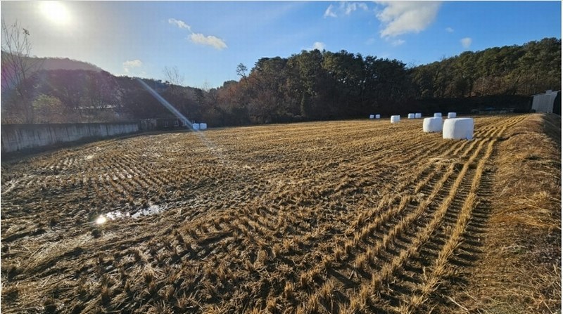 2024타경85150 경기도 파주시 파주읍 봉서리 225-11 농지 경매 이미지