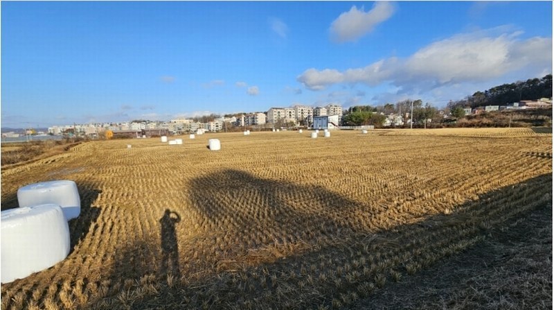 2024타경85150 경기도 파주시 파주읍 봉서리 225-11 농지 경매 이미지