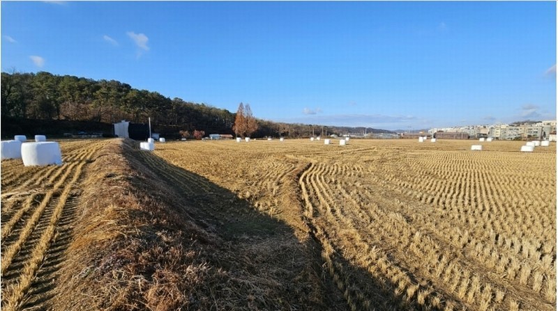 2024타경85150 경기도 파주시 파주읍 봉서리 225-11 농지 경매 이미지