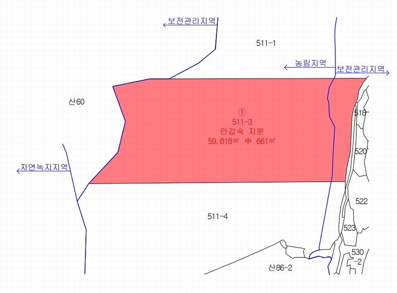 2024타경87323 경기도 파주시 법원읍 대능리 511-3 임야 경매 이미지