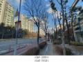 2024타경87996 경기도 고양시 일산서구 주엽로 80, 고양일산호수공원가로수길 1층 씨128호 근린상가 경매 이미지