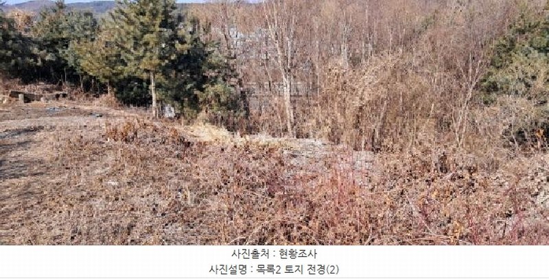 2024타경88401 경기도 파주시 법원읍 대능리 4-5 농지 경매 이미지