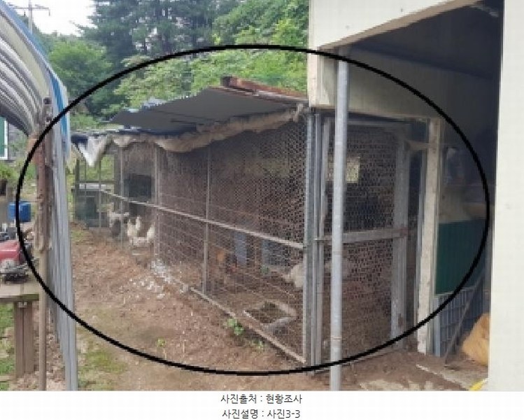 2025타경1685 강원특별자치도 홍천군 화촌면 군업리 282-1 근린시설 경매 이미지