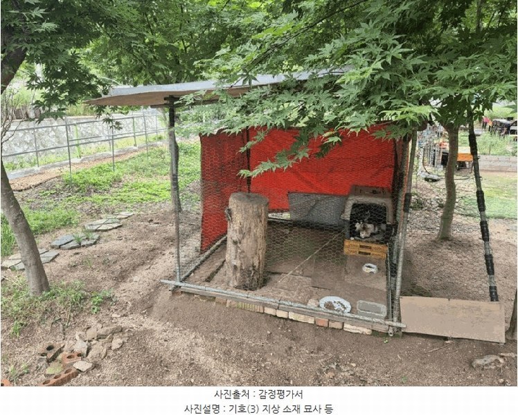2025타경1685 강원특별자치도 홍천군 화촌면 군업리 282-1 근린시설 경매 이미지
