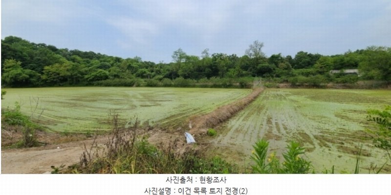 2024타경67893 경기도 파주시 군내면 점원리 549 농지 경매 이미지