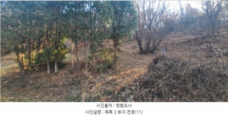 2024타경85648 경기도 파주시 아동동 278 농지 경매 이미지