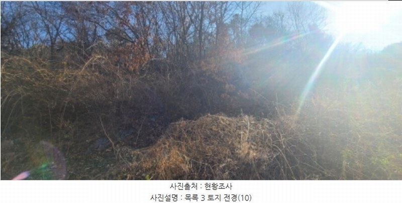 2024타경85648 경기도 파주시 아동동 278 농지 경매 이미지