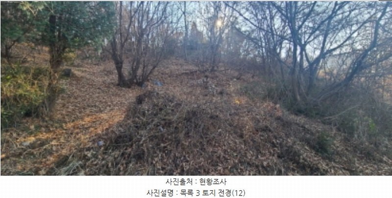 2024타경85648 경기도 파주시 아동동 278 농지 경매 이미지