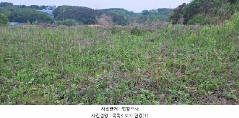 2025타경63043 경기도 파주시 파주읍 봉암리 17-8 농지 경매 이미지