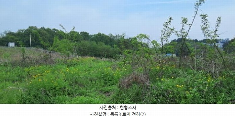 2025타경63043 경기도 파주시 파주읍 봉암리 17-8 농지 경매 이미지