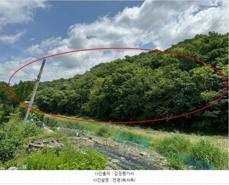 2024타경69950 경기도 고양시 덕양구 벽제동 산33-2 임야 경매 이미지