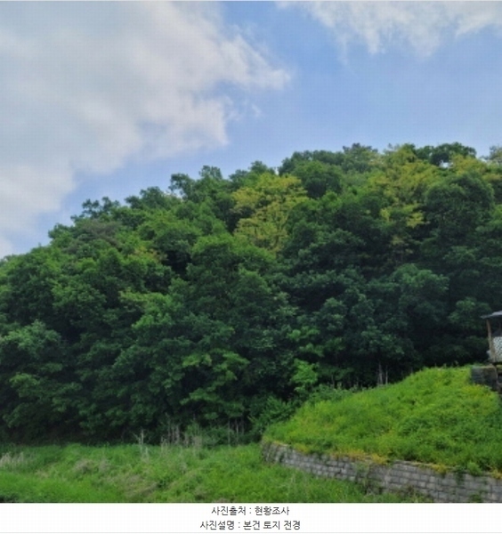 2024타경69950 경기도 고양시 덕양구 벽제동 산33-2 임야 경매 이미지