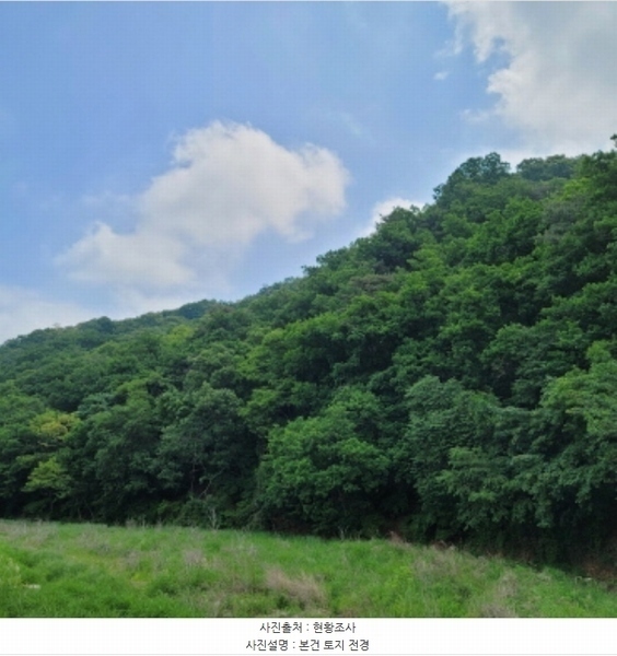 2024타경69950 경기도 고양시 덕양구 벽제동 산33-2 임야 경매 이미지