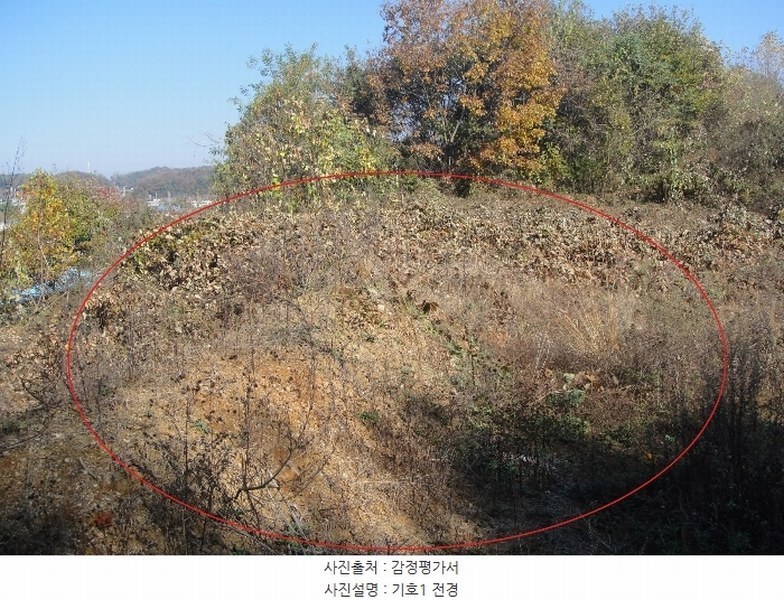 2024타경83680 경기도 파주시 적성면 장현리 103-6 임야 경매 이미지