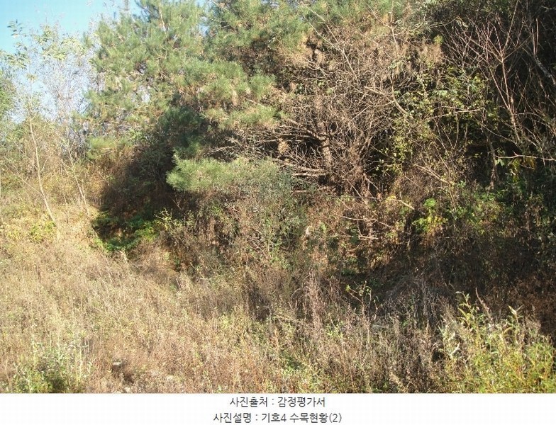 2024타경83680 경기도 파주시 적성면 장현리 103-6 임야 경매 이미지
