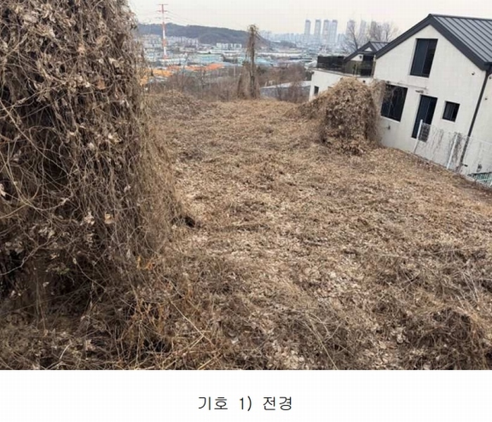 2025타경57 경기도 고양시 일산동구 성석동 1061-83 임야 경매 이미지