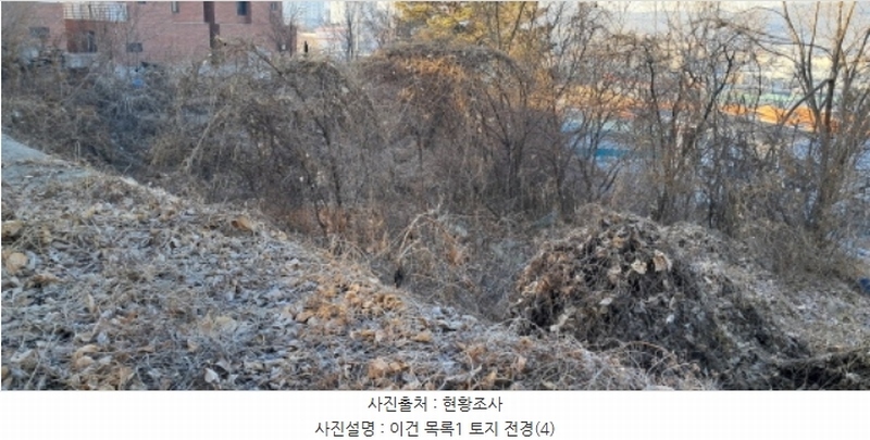 2025타경57 경기도 고양시 일산동구 성석동 1061-83 임야 경매 이미지