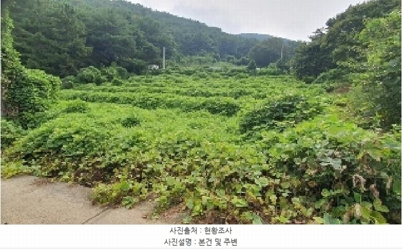 2025타경279 경상남도 창원시 마산합포구 구산면 석곡리 191-3 농지 경매 이미지