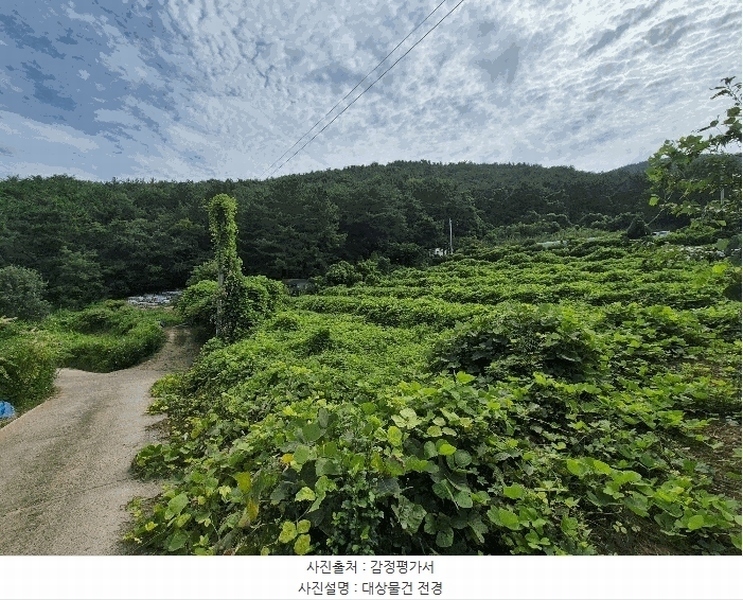 2025타경279 경상남도 창원시 마산합포구 구산면 석곡리 191-3 농지 경매 이미지