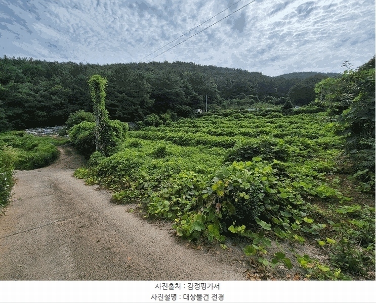 2025타경279 경상남도 창원시 마산합포구 구산면 석곡리 191-3 농지 경매 이미지