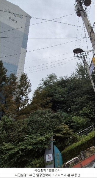 2024타경120904 서울특별시 관악구 신림동 산110-18 임야 경매 이미지
