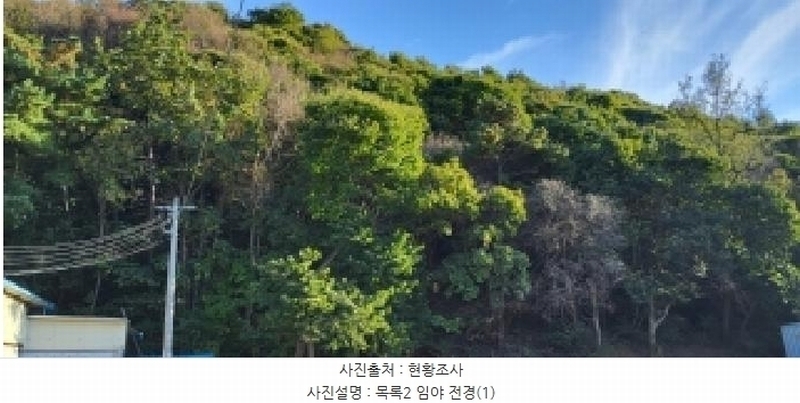 2025타경64337 경기도 파주시 법원읍 대능리 산25 임야 경매 이미지
