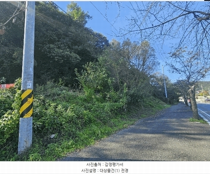 2025타경64337 경기도 파주시 법원읍 대능리 산25 임야 경매 이미지