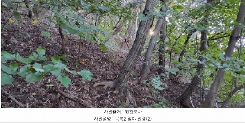 2025타경64337 경기도 파주시 법원읍 대능리 산25 임야 경매 이미지