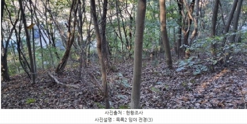 2025타경64337 경기도 파주시 법원읍 대능리 산25 임야 경매 이미지