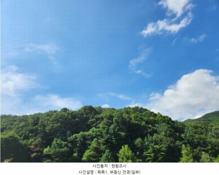 2024타경3487 경기도 남양주시 조안면 삼봉리 산9-12 임야 경매 이미지