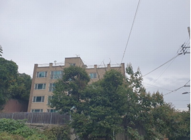 2024타경5124 경기도 가평군 청평면 대성리 90-54 다세대(빌라)[공급33평형] 경매 이미지