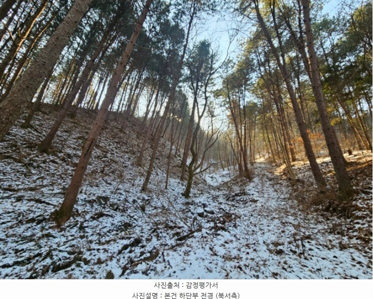 2024타경5957 경기도 가평군 가평읍 개곡리 산206 임야 경매 이미지