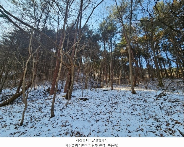 2024타경5957 경기도 가평군 가평읍 개곡리 산206 임야 경매 이미지