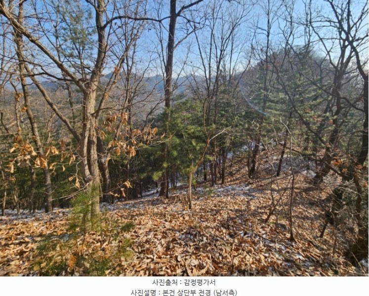 2024타경5957 경기도 가평군 가평읍 개곡리 산206 임야 경매 이미지