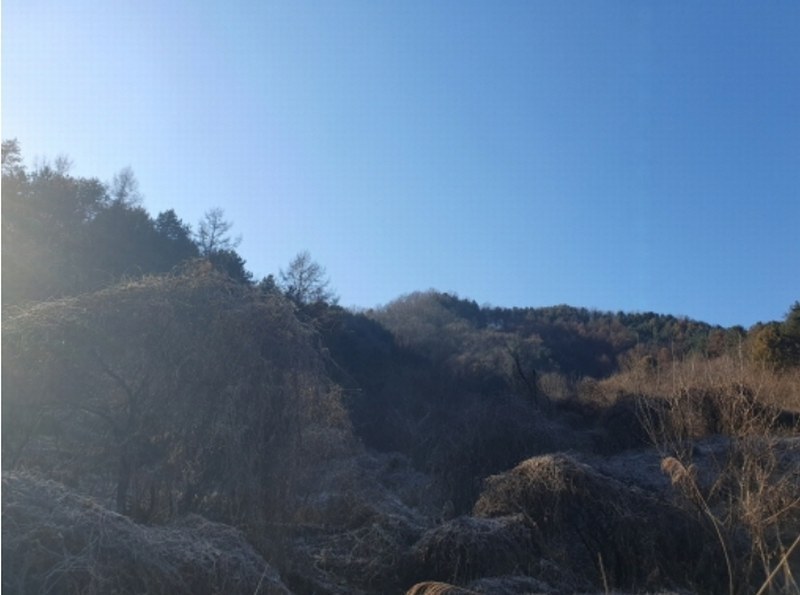 2024타경5957 경기도 가평군 가평읍 개곡리 산206 임야 경매 이미지