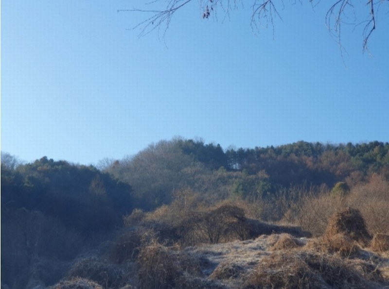 2024타경5957 경기도 가평군 가평읍 개곡리 산206 임야 경매 이미지