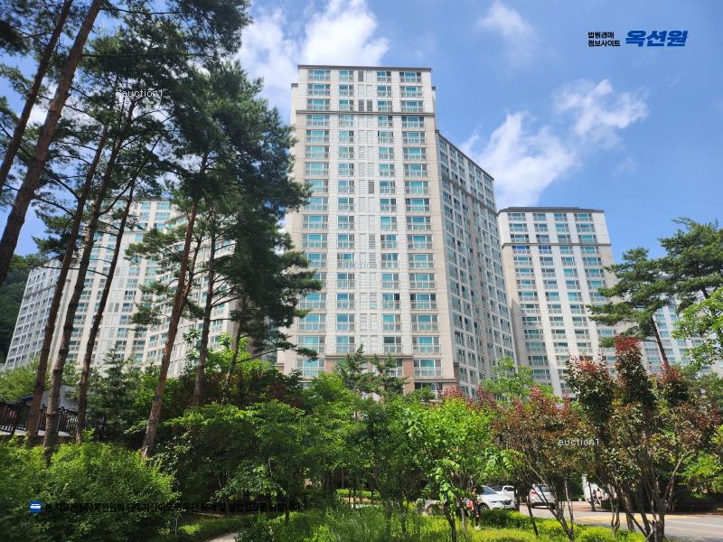 2024타경86086 경기도 남양주시 천마산로 65, 호평파라곤 110동 18층 1803호 아파트[공급55평형] 경매 이미지